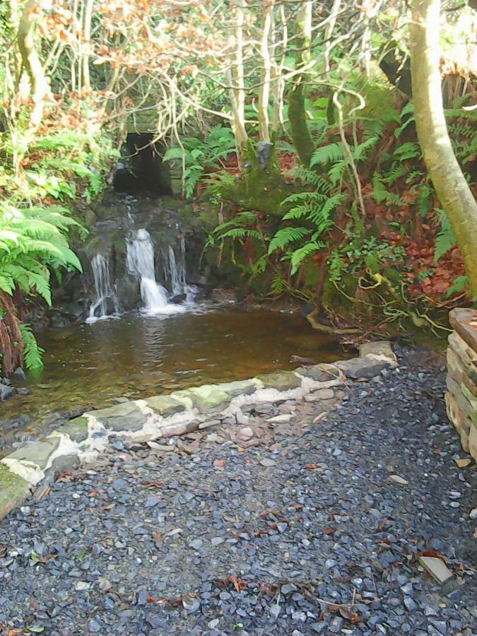 Harmony Hall Veganic Guest House Kilkenny Exterior photo
