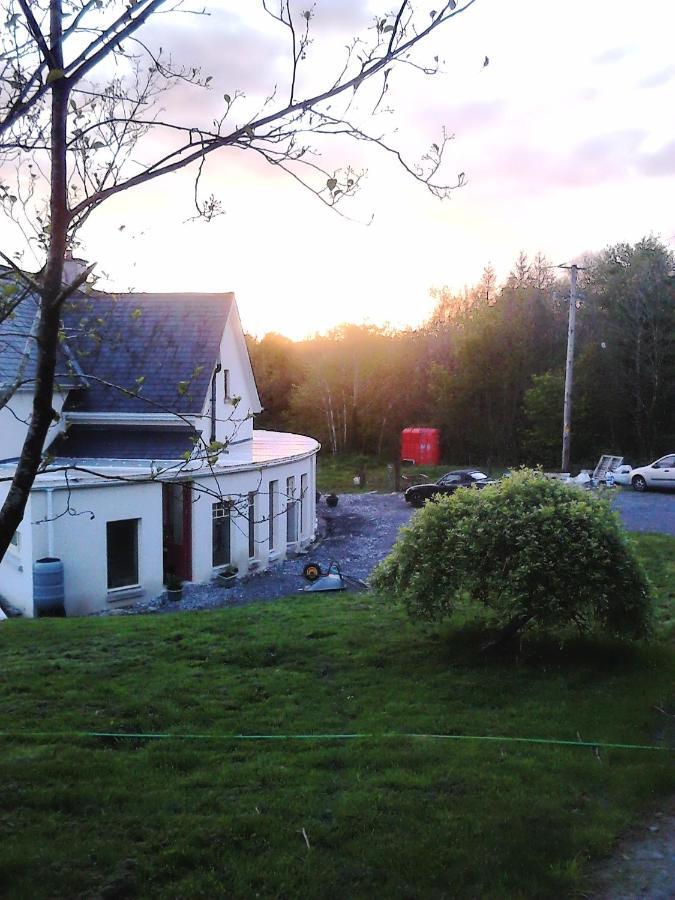 Harmony Hall Veganic Guest House Kilkenny Exterior photo
